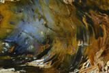 Colorful, Hubbard Basin Petrified Wood Slab #124232-1